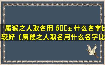 属猴之人取名用 🐱 什么名字比较好（属猴之人取名用什么名字比较好女孩）